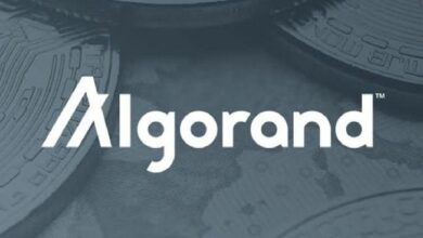 "مؤسسة Algorand و The Core تطلقان سلسلة 'بناء على البلوكشين' لقادة الصناعة: انضم إلى الثورة الآن!"