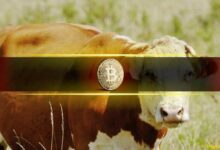 "تصحيح البيتكوين الحالي (BTC) يتطابق تمامًا مع نمط إعادة الضبط في منتصف الدورة التاريخية: Bitfinex – اكتشف التفاصيل الآن!"