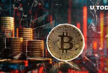 "بيتكوين تصل إلى معلم 25% في الطريق إلى التخفيض القادم: اكتشف التفاصيل الآن!"