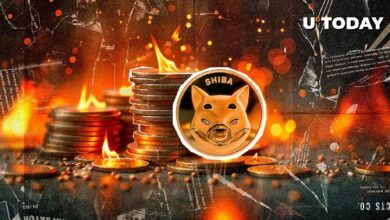 "حرق 881,353,310 SHIB بواسطة هذا المحرق الكبير لـ Shiba Inu: اكتشف التفاصيل الآن!"