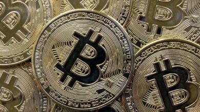 احتياطيات حاملي البيتكوين على المدى الطويل تشهد ارتفاعًا كبيرًا: كيف سيؤثر ذلك على السعر في الأشهر المقبلة؟ اكتشف الإجابة الآن!