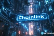سعر Chainlink يُظهر تباعدًا صعوديًا مع ارتفاع عمليات السحب من البورصات – اكتشف التوقعات الآن!