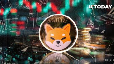 تراجع ربحية عملة Shiba Inu إلى مستويات غير مسبوقة... ما الخطوة التالية؟