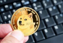 "دوجكوين (DOGE) تستعد للانطلاق: هل يُشعل صعودها انتعاشًا كاملًا؟ اكتشف الآن!"