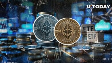 "صناديق Ethereum (ETH) الاستثمارية تُظهر أداءً صفرًا: اكتشف الأسباب الآن!"