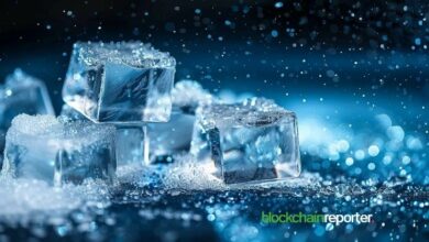 "شبكة آيس أوبن نيتورك أونلاين+ و XDB CHAIN تطلقان شراكة جديدة في عالم ويب 3 – اكتشف التفاصيل الآن!"