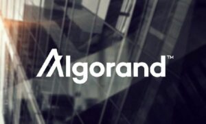 “لماذا قد يرتفع سعر Algorand رغم تدهور بياناته الأساسية؟ اكتشف الأسباب الآن!”