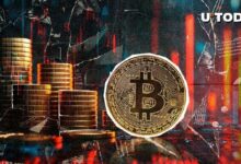 "حاملو البيتكوين (BTC) لا يزالون في مكاسب رغم الخسائر قصيرة الأجل – اكتشف السبب!"