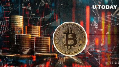 "حاملو البيتكوين (BTC) لا يزالون في مكاسب رغم الخسائر قصيرة الأجل – اكتشف السبب!"