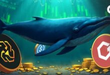 أي العملات الرقمية تشهد أكبر مشتريات من الحيتان حاليًا؟ (بيانات أبريل 2025)
