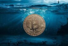 "محلل: البيتكوين لم يصل إلى القاع بعد.. إليك توقعاته لأدنى مستوى سعري"