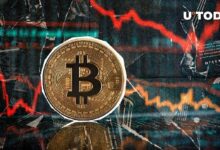 سوق البيتكوين يسيطر عليه الخوف مع انعكاس السعر وهبوط بنسبة 2.5% – اكتشف الأسباب الآن!