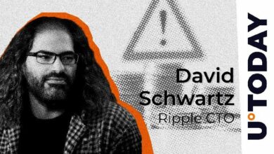 "رئيس التقنية في Ripple يحذر من عمليات احتيال متعددة: تفاصيل يجب معرفتها"