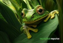 "PEPE Games تتعاون مع Orbler لتعزيز إمكانية الوصول إلى ألعاب Web3 وزيادة انتشارها – اكتشف التفاصيل الآن!"