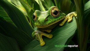 “PEPE Games تتعاون مع Orbler لتعزيز إمكانية الوصول إلى ألعاب Web3 وزيادة انتشارها – اكتشف التفاصيل الآن!”