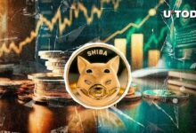 "معاملات شيبا إينو (SHIB) الكبيرة تقفز 173%.. ما الذي يحدث؟ اكتشف التفاصيل الآن!"