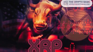 "خبير يوضح لماذا قد لا يرتفع سعر XRP بشكل كبير بعد هذا الحدث الكبير القادم – اكتشف السبب الآن!"