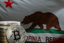 "ليدن تستعد للتوسع في كاليفورنيا بينما تستعد التمويل التقليدي لضخ استثمارات ضخمة: الرئيس التنفيذي"